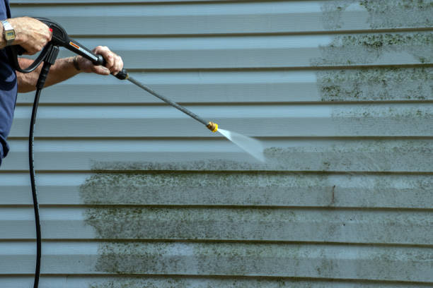 Best Graffiti Removal Services in Brownsville, KY